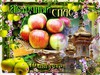 Яблочный Спас каждый год отмечают 19 августа, и совпадает он с православным праздником Преображения Господня. Наши предки собирали в этот день урожаи яблок. Плоды освящали в церквях и заготавливали на зиму