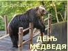 День медведя отмечается ежегодно 13 декабря. Празднования утраивают в разных странах, а в России в первую очередь, потому как это животное – символ великой страны